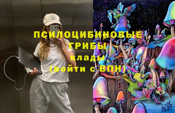 spice Алексин
