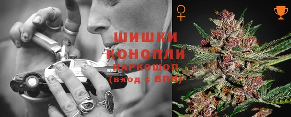 spice Алексин