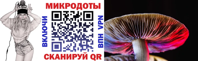 Псилоцибиновые грибы прущие грибы купить наркотики цена дарк нет состав Белая Калитва
